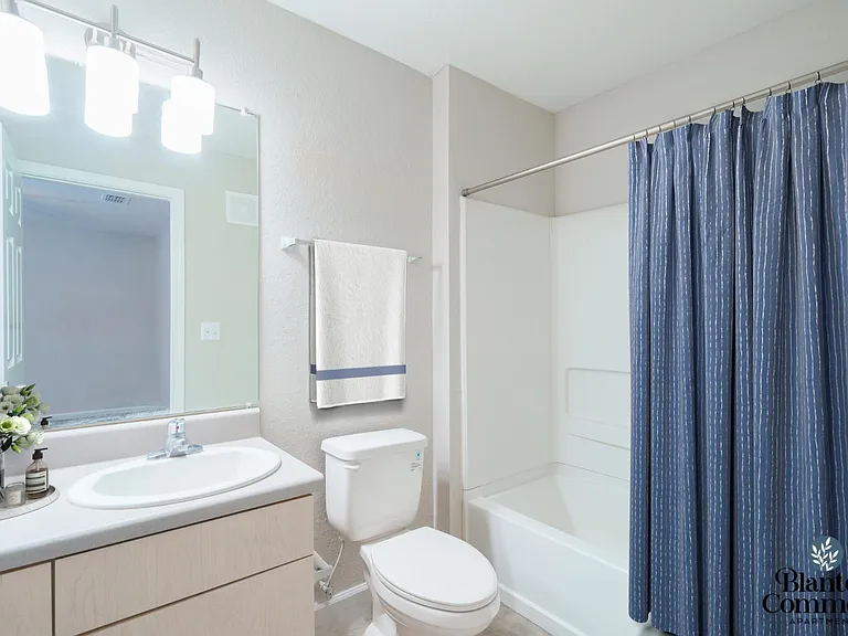Blanton Commons Apartments — Photo 9