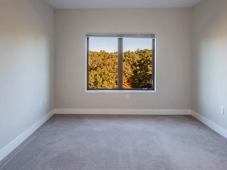 Carpeted Bedroom