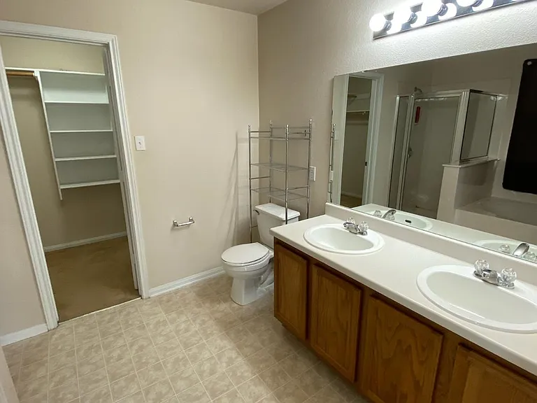Primary bathroom vanity