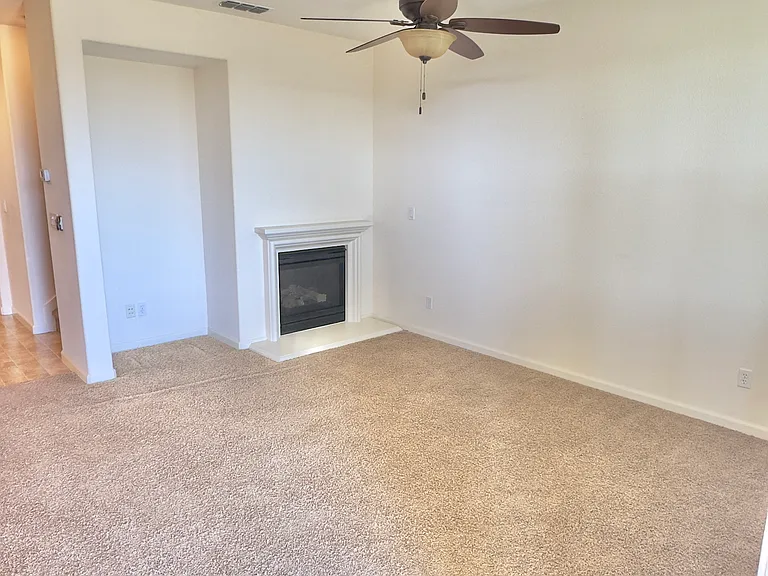 209 Blossom Rock Ln — Photo 6