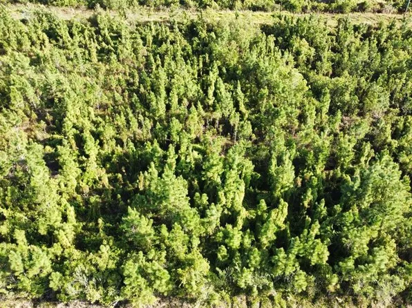 22 Laguna Dr Lot 11, Indian Lake Estates, FL 33855