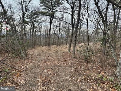 Bobcat Trl Lot 152, Winchester, VA, 22602