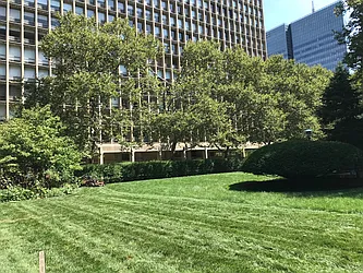 Rented by JSG Realty Corp