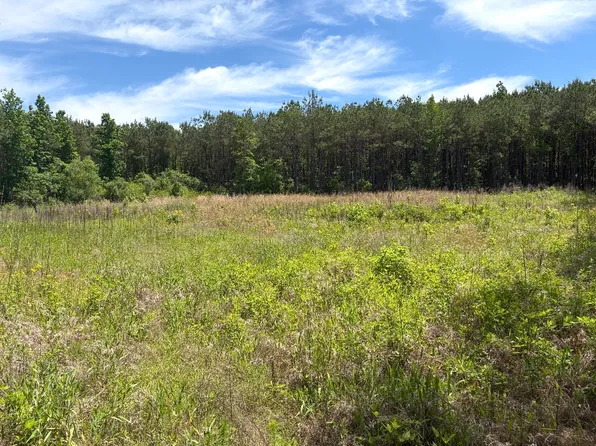 0 Cash Cir Lot 1, Millport, AL 35576
