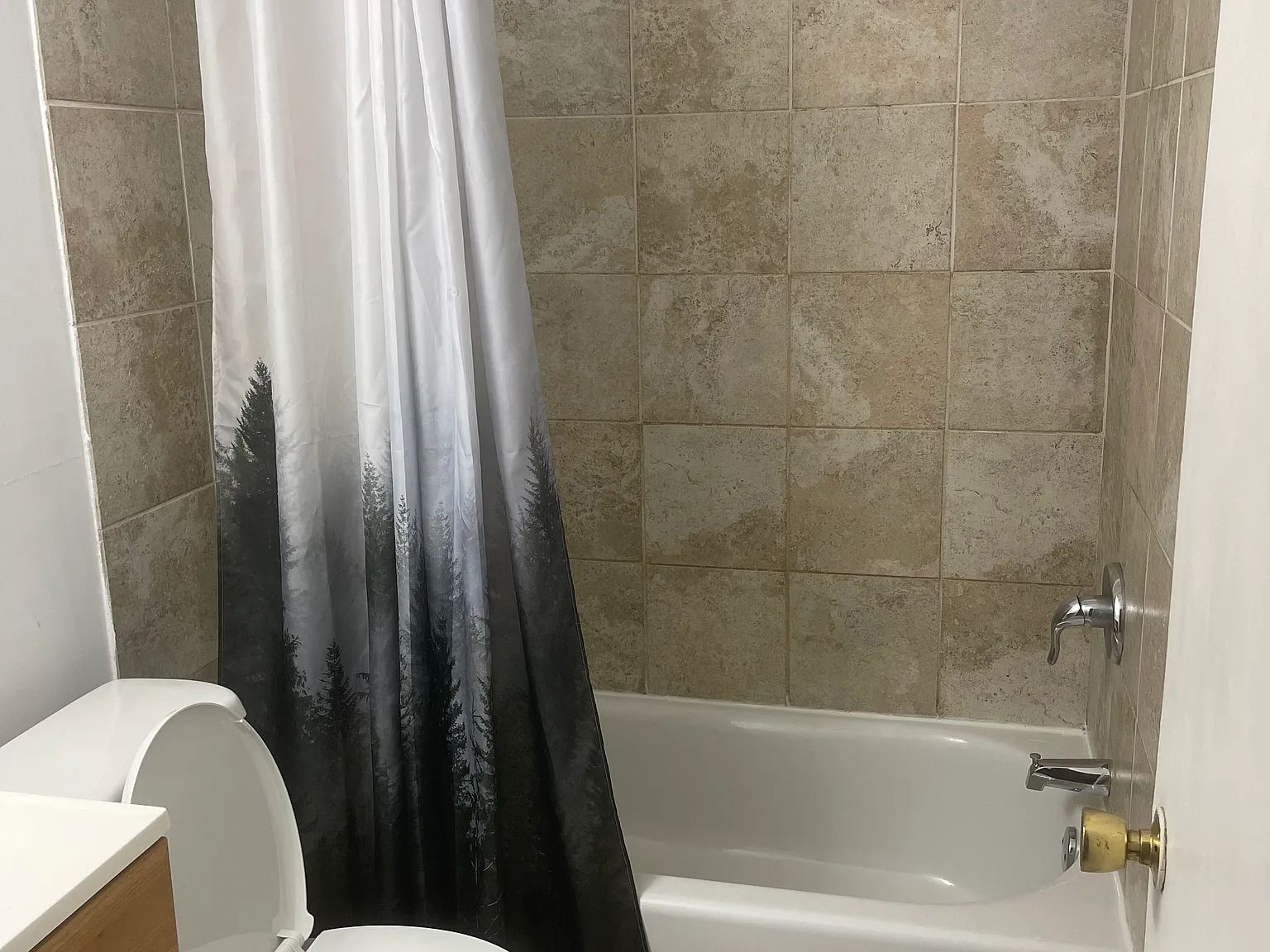 3 bed, 1300 sqft, $2,000 — Photo 3