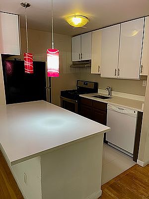 5th image of 10919 72nd Ave APT 1A