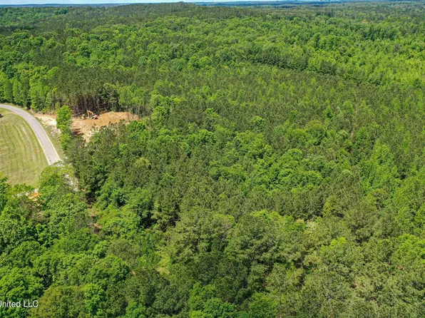 County Road 185, Philadelphia, MS 39350