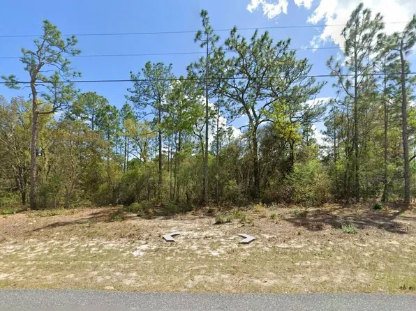 9029 N Saponaria Drive, Citrus Springs, FL 34433