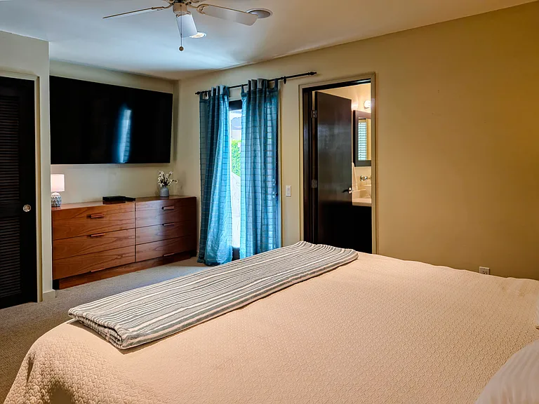 Primary bedroom with back porch entry, private bathroom, TV, dresser and large closet.