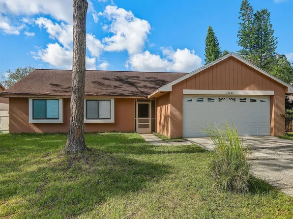 15846 Country Lake Dr, Tampa, FL 33624