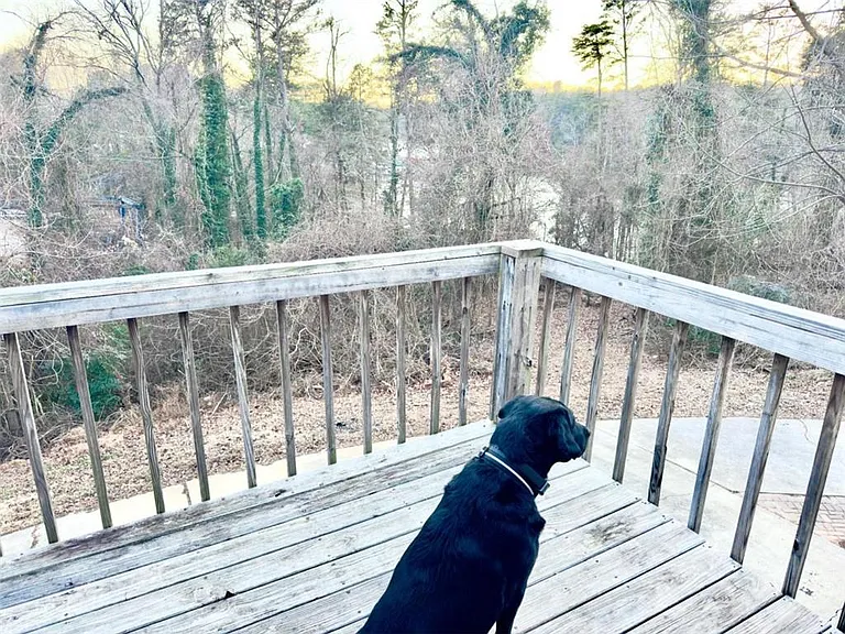2020 Driftwood Cir — Photo 3
