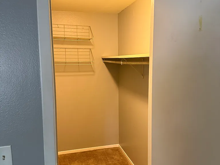 Walk-in Closet 1