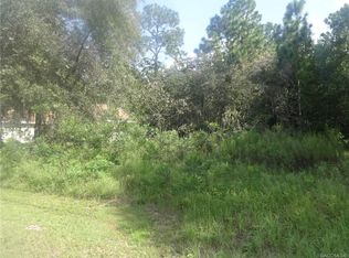 1417 W Jocelynne St, Citrus Springs, FL 34434