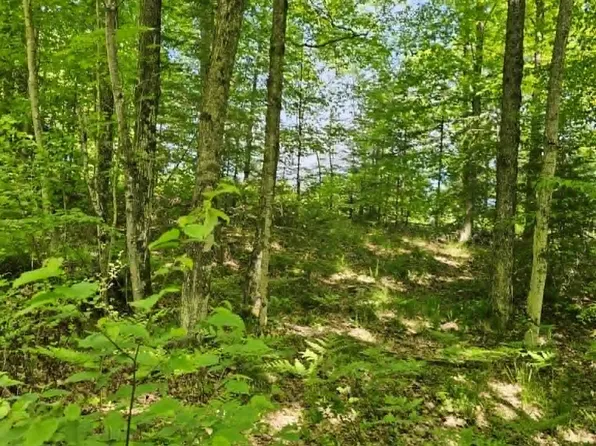 W Herzog Road Herzog Rd #W, Iron Mountain, MI 49801