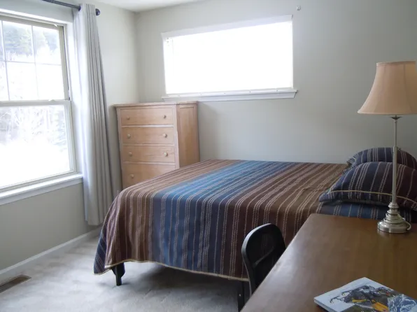 300B Locals Ln, Breckenridge, CO 80424