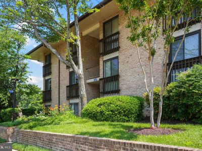 769 Fairview Ave, Annapolis, MD, 21403