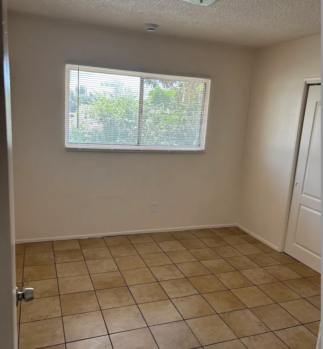 1 bed, 684 sqft, $1,600 — Photo 4