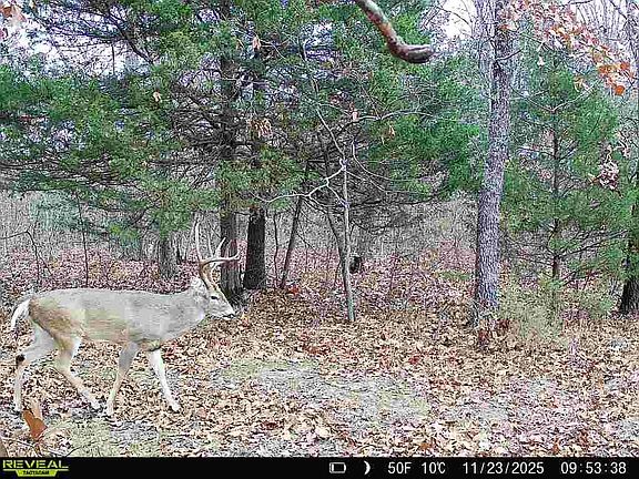 5th image of 0 Kelsay Rd