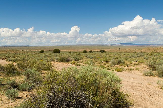 1st image of 150 Nm-6 Los Lunas
