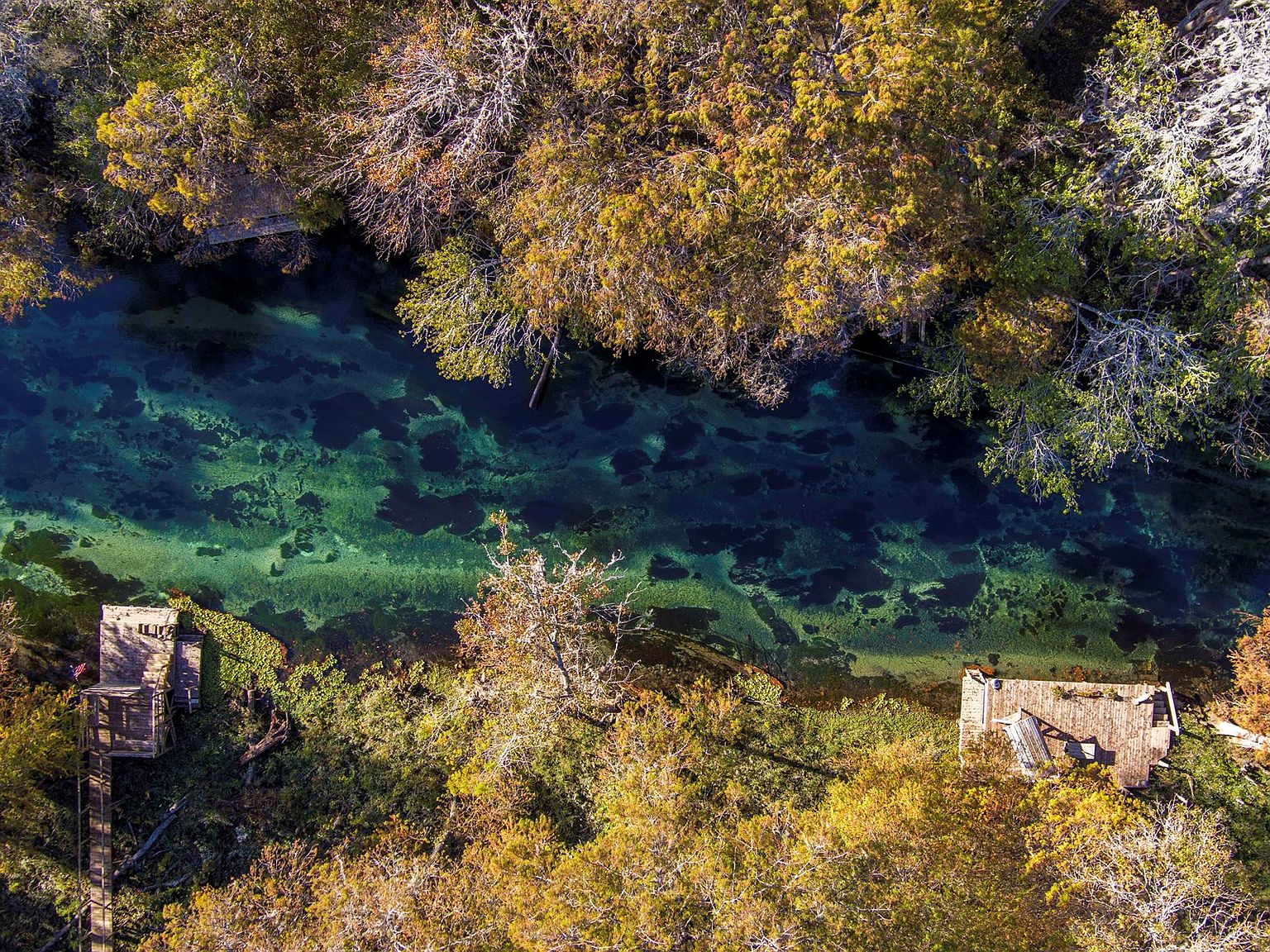 654 SW Riverside Ave, Fort White, FL 32038 Zillow