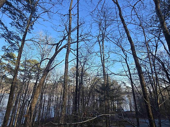 2nd image of LOT 66 Lower Ridge Cir