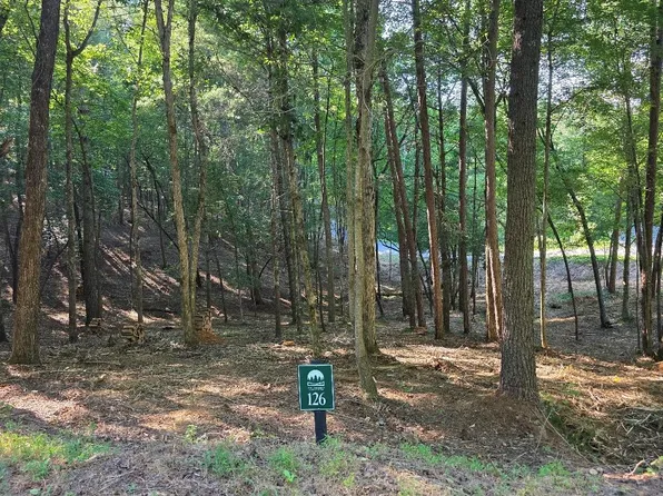 126R Red Oak Trl, Ellijay, GA 30540