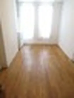 Rented by Link NY Realty | media 3