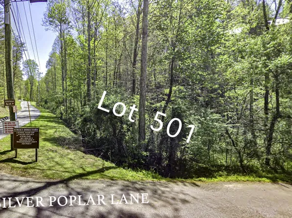 0 Silver Poplar Ln Lot 501, Sevierville, TN 37876
