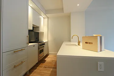 Rented by Platinvm Property Group New York