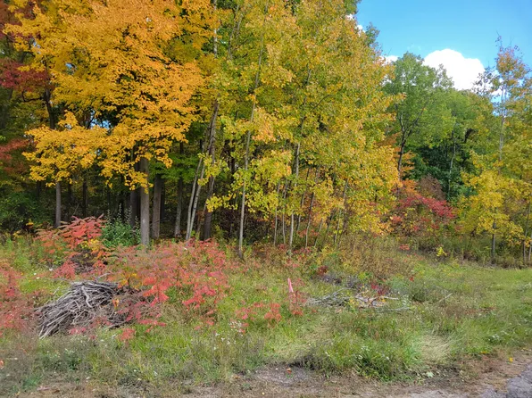 74016 Ridgeway, Lawton, MI 49065