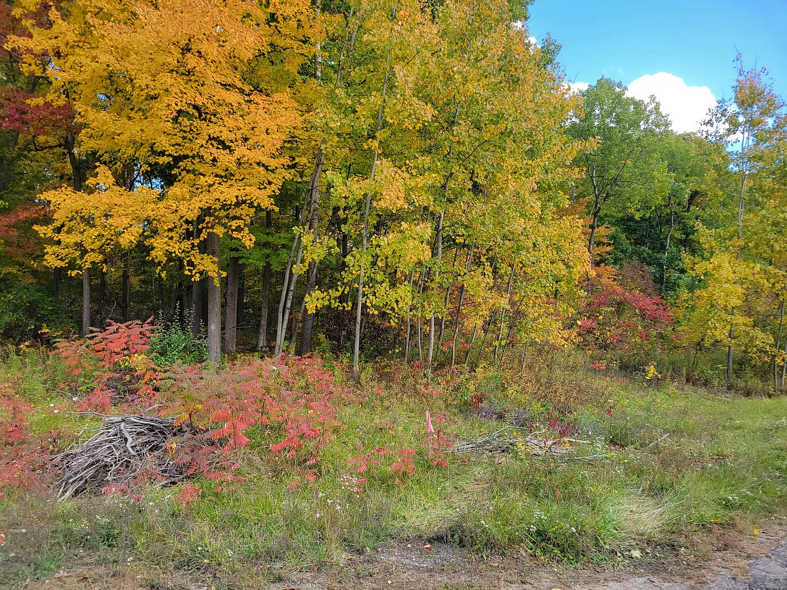 74016 Ridgeway photo 1