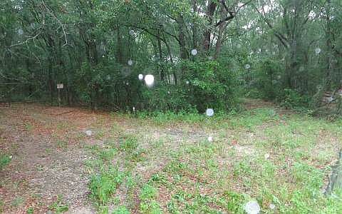 2nd image of 19606 County Road 137