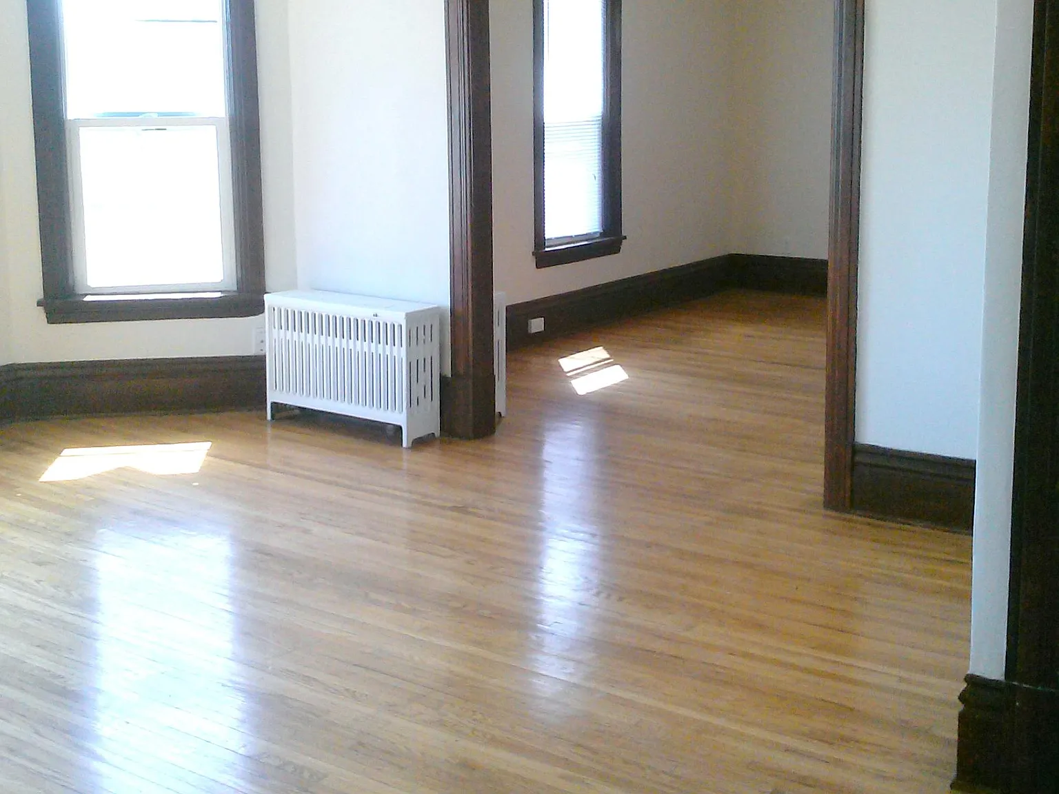 1 bed, 795 sqft, $1,250 — Photo 2
