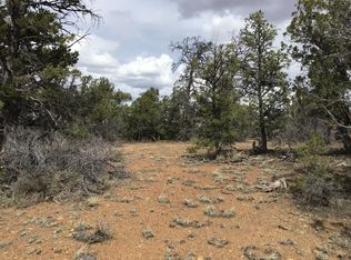 LOT 15 Davids Rock Rd, Ramah, NM 87321