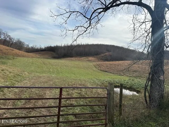 Frog Level Rd, Harrogate, TN 37752