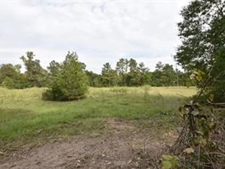 12842 Roy Harris Loop — Photo 28