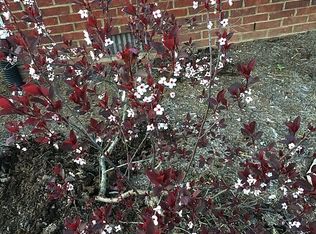 172 Ridge View Rd, Danville, KY 40422