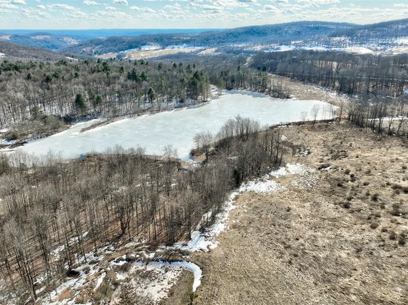  TBD Meadow Lane, Fremont Center, NY 12736