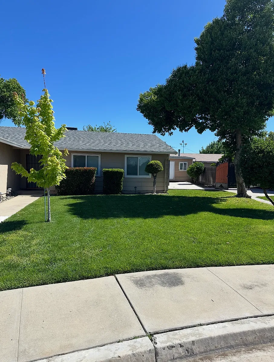 Building Photo - 1074 Plumwood Ct