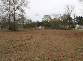 173 Roundtree Dr, Gaston, SC 29053