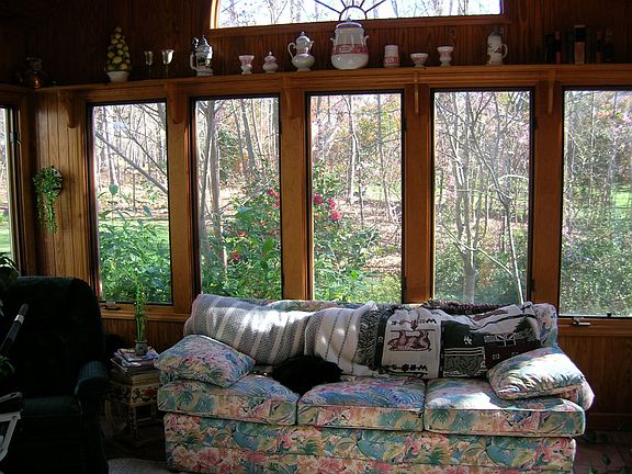 View from sunroom
