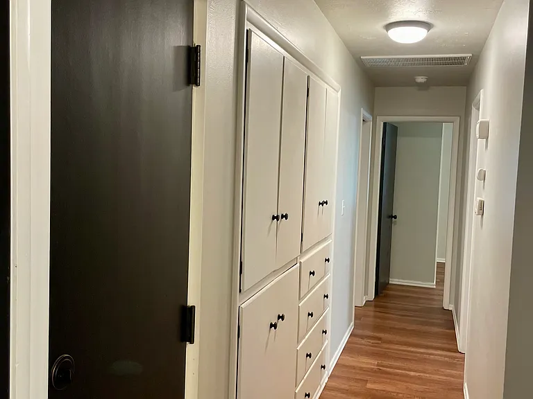 Storage in hallway
