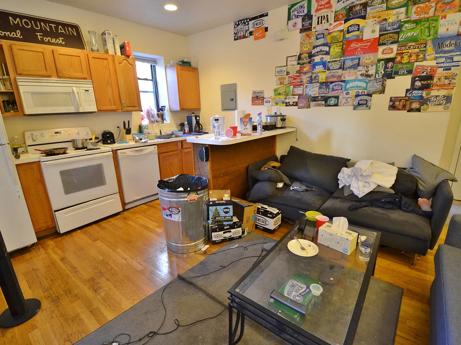 2 bed, 999 sqft, $3,950 — Photo 3