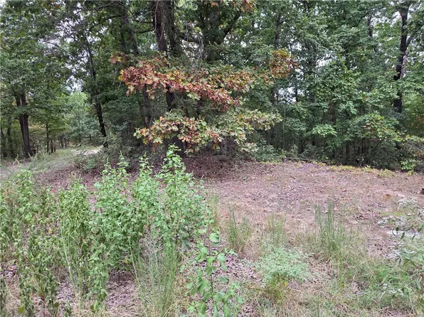 7203 Marion Country #6061, Flippin, AR 72634