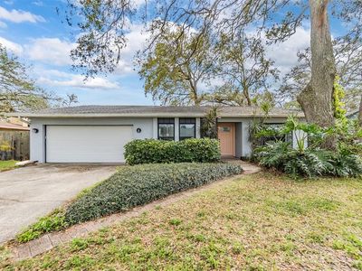 1905 Dove Field Pl, Brandon, FL, 33510
