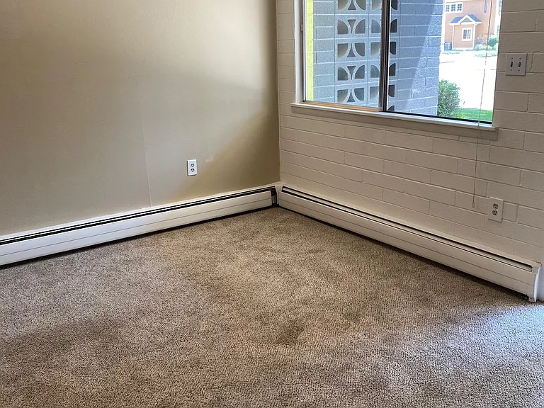 700 E Myrtle St #708 — Photo 5