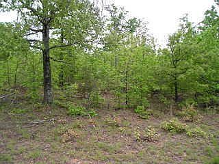 2nd image of 6172 Highway 62 E