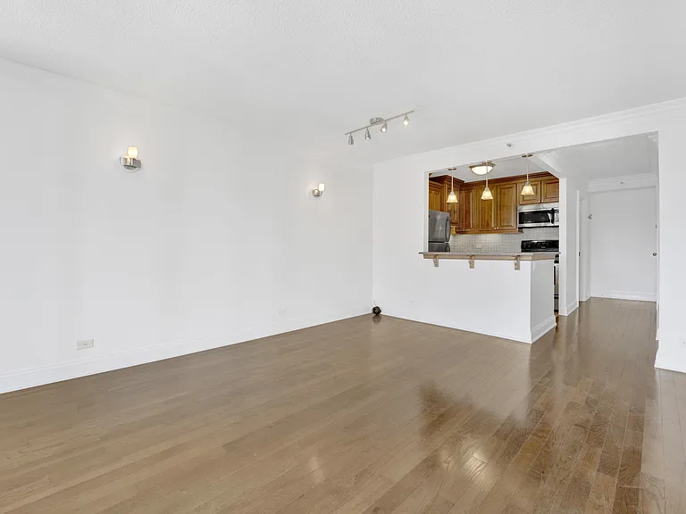 10 E Ontario St #3412 — Photo 2