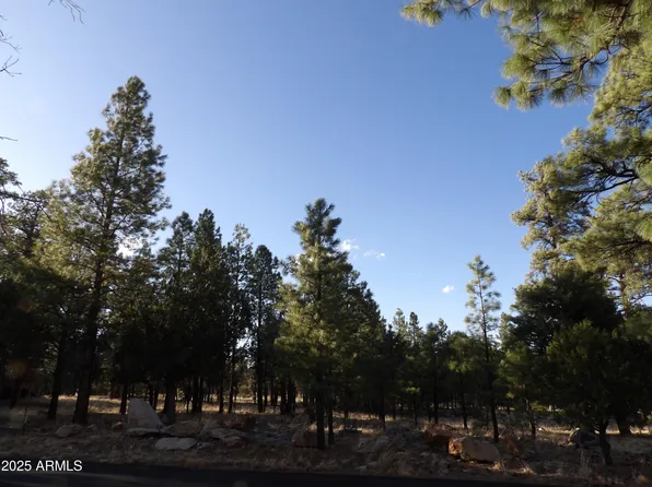 3632 TIMBERLINE Drive #24, Happy Jack, AZ 86024