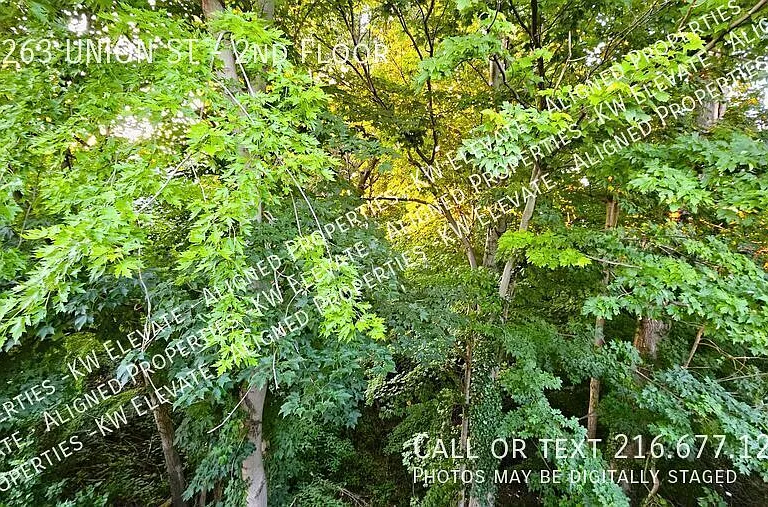 38263 Union St #2 — Photo 24